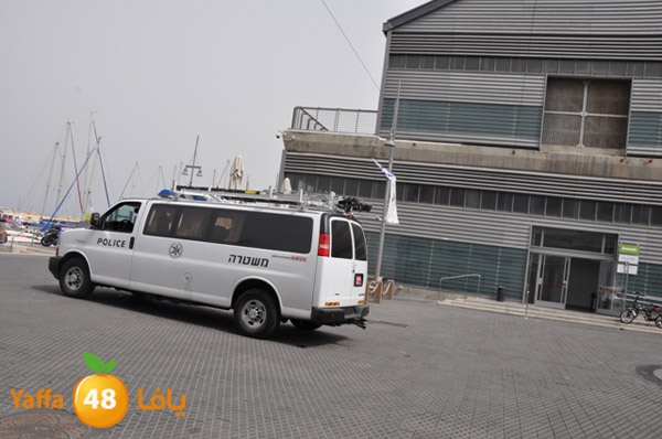 mina2yaffan51i (20).JPG